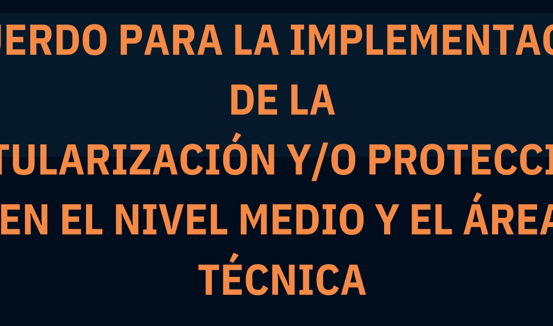 IMPLEMENTACION DE LA TITULARIZACIÓN Y/O PROTECCIÓN EN EL NIVEL MEDIO Y EL ÁREA TÉCNICA.